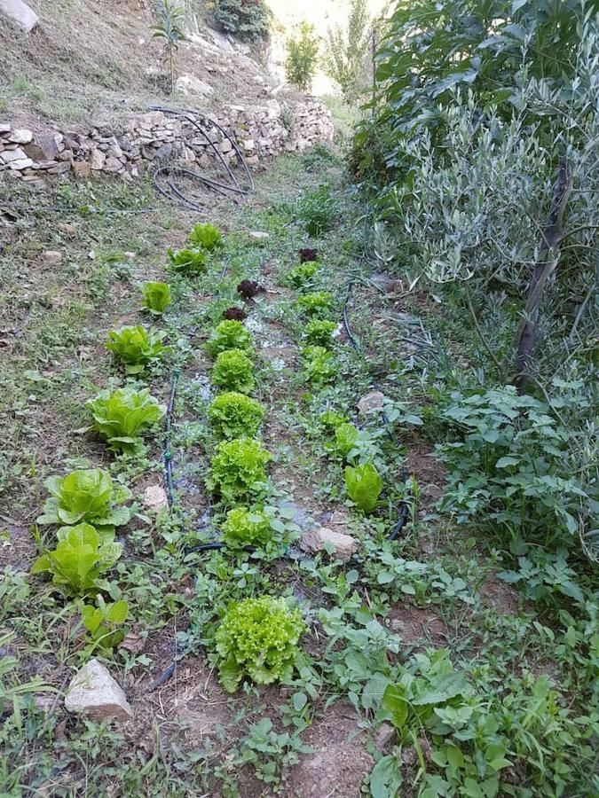 Holiday Home Dionysis Chorefton Esterno foto